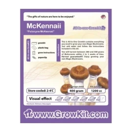 Mushroom Growkit McKennaii Mushroom Growkit McKennaii