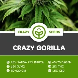 Crazy Gorilla