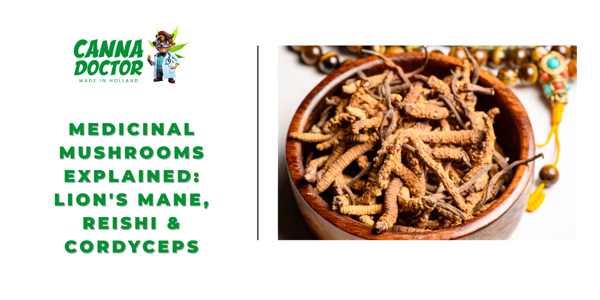 Medicinal Mushrooms Explained