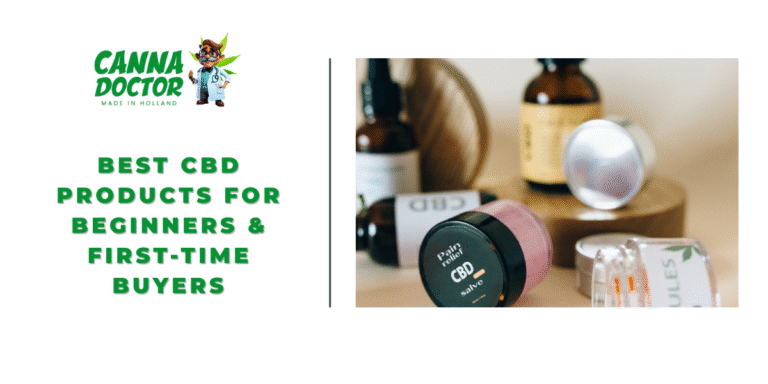 Best CBD Products for Beginners