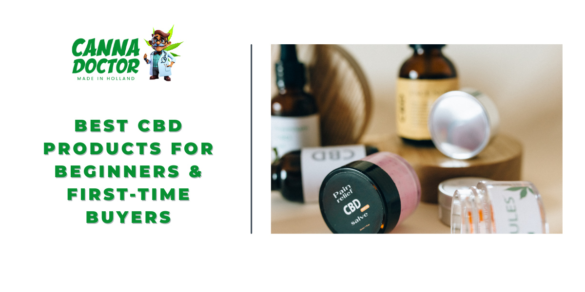 Best CBD Products for Beginners