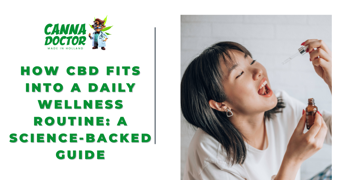 CBD Fits Into a Daily Wellness Routine