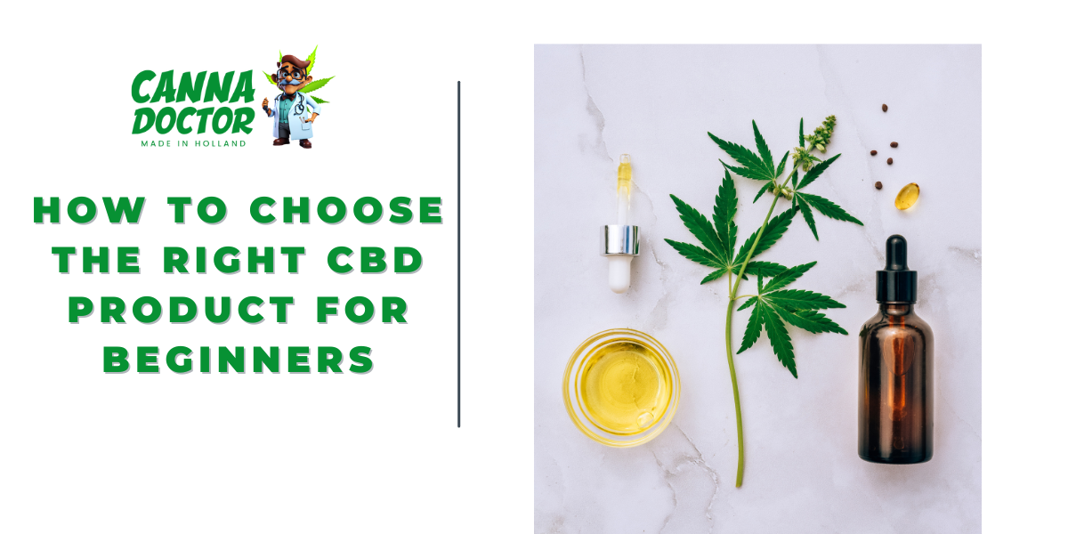 CBD Product for Beginners