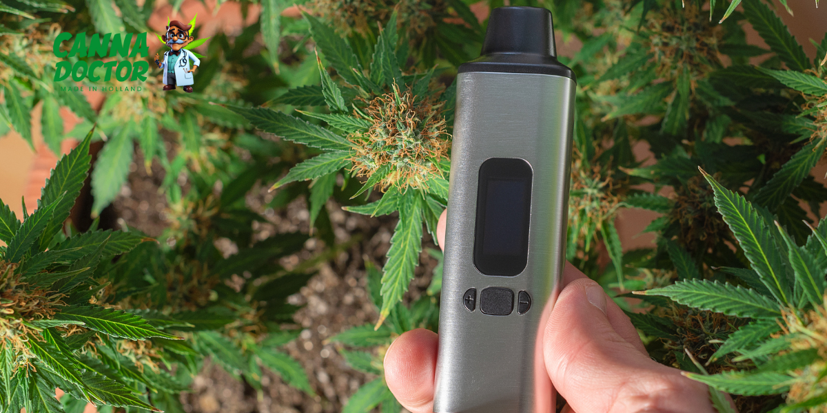 Concentrate Vaporizers