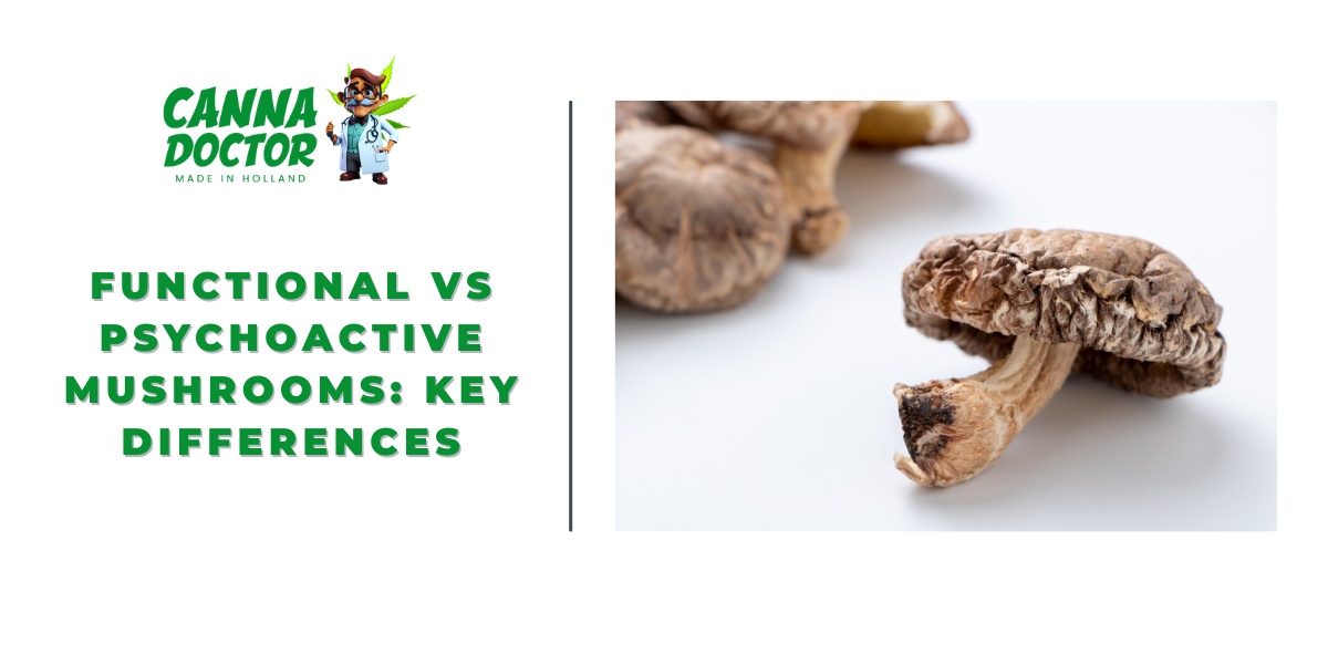 Functional vs Psychoactive Mushrooms