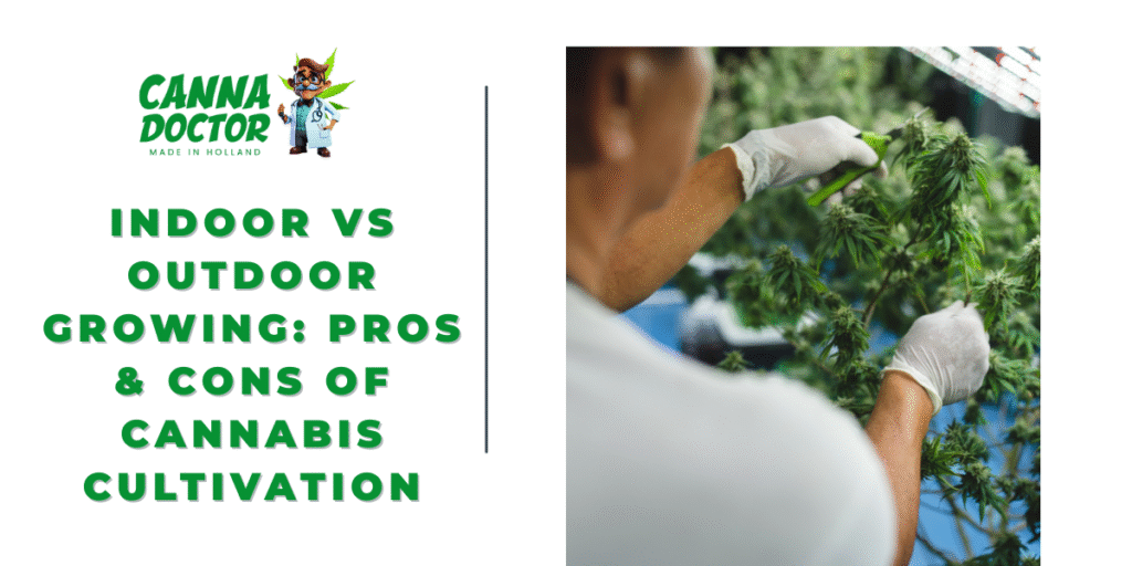 Indoor vs Outdoor Growing