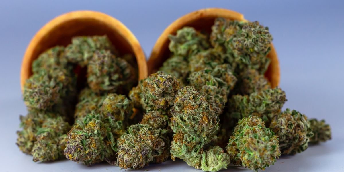 Micro-Dosing Magic Truffles