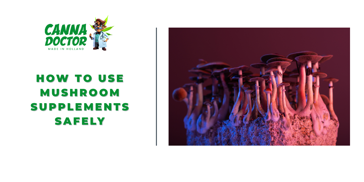 Mushroom Supplements