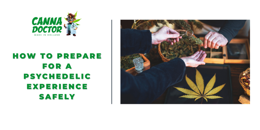Psychedelic Experience Safely