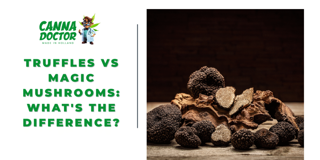 Truffles vs Magic Mushrooms