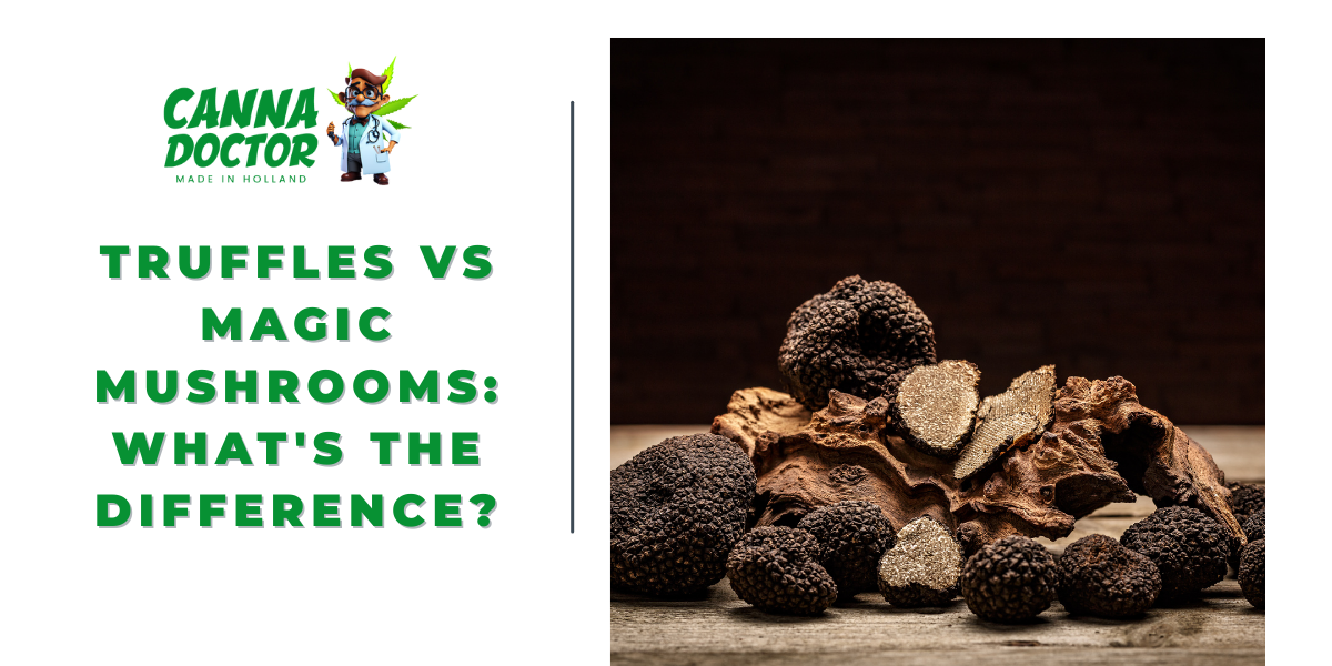 Truffles vs Magic Mushrooms