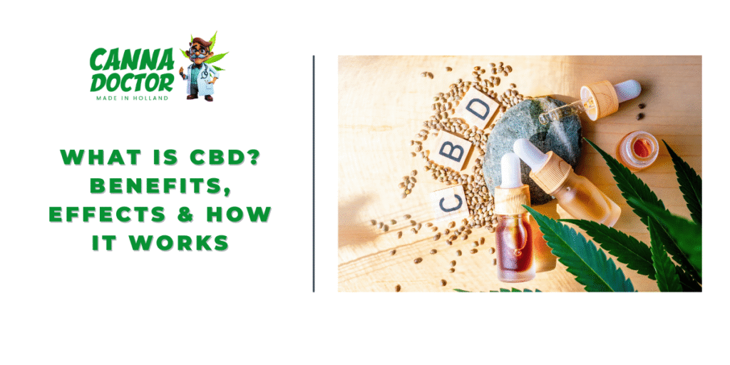 What Is CBD Benefits, Effects & How It Works