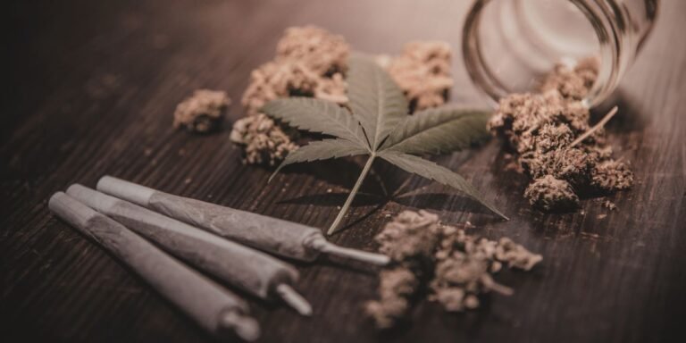 best pre-rolled cones 2026