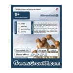 B Plus Growkit - 1200 cc
