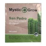 San Pedro T. Bridgesii seeds - 100 pieces