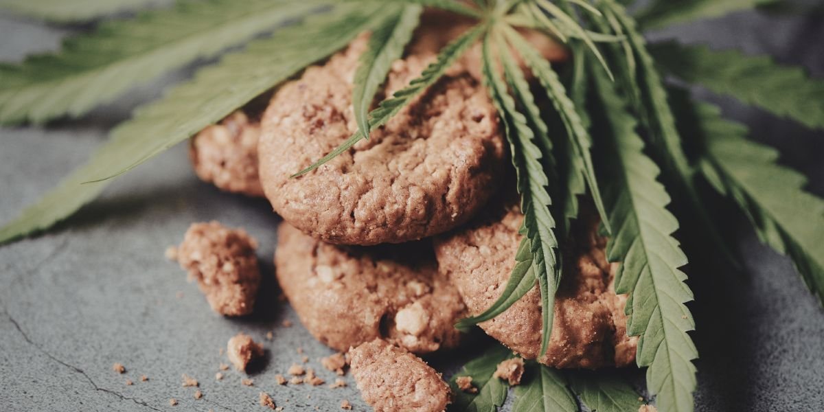 buy magic truffles Netherlands