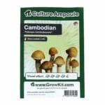 Cambodian 'Psilocybe Cambodiescens' Spore Syringe