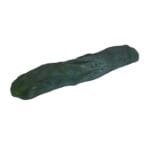 San Pedro Cutting Monstrosus - 25 cm - Afbeelding 2
