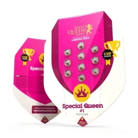 Special Queen 1