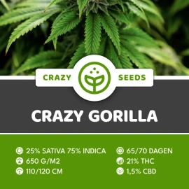 Crazy Gorilla 10 plus 4 Pack