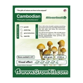 Cambodian Growkit