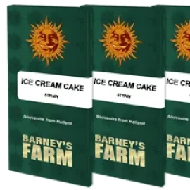 Ice Cream Cake Ice Cream Cake