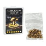 Golden Teacher Truffles - 15 gram - Afbeelding 2