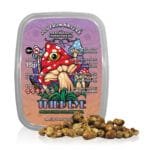 Third Eye Truffles (Psilocybe Colombiana) - 15 gram