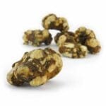 Mush Magic Truffle Atlantis - 15 grams - Afbeelding 2