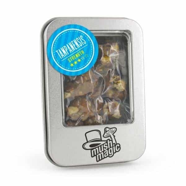 Mush Magic Truffle Tampanensis - 15 gram Mush Magic Truffle Tampanensis - 15 gram