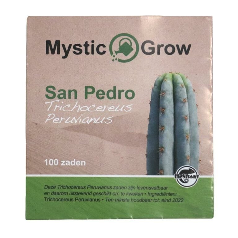 peru-1.jpg San Pedro T. Peruvianus seeds - 100 seeds - Afbeelding 1