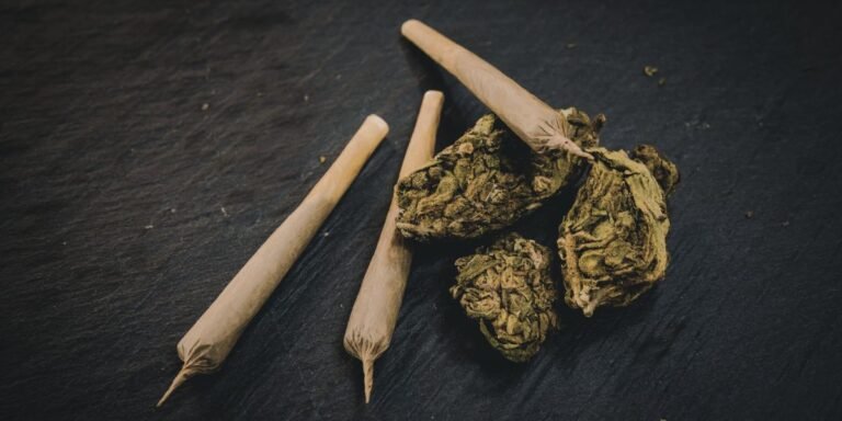 pre rolled king size cones