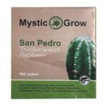 San Pedro T. Pachanoi seeds - 100 pieces
