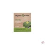 Peyote L Williamsii seeds - 10 seeds